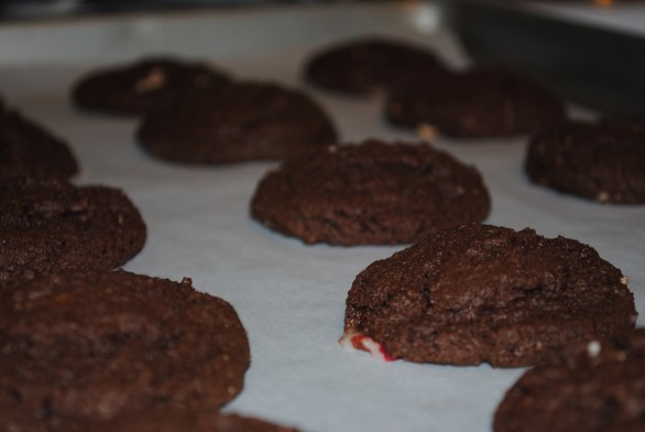 chocolatepeppermintbarkcookies4