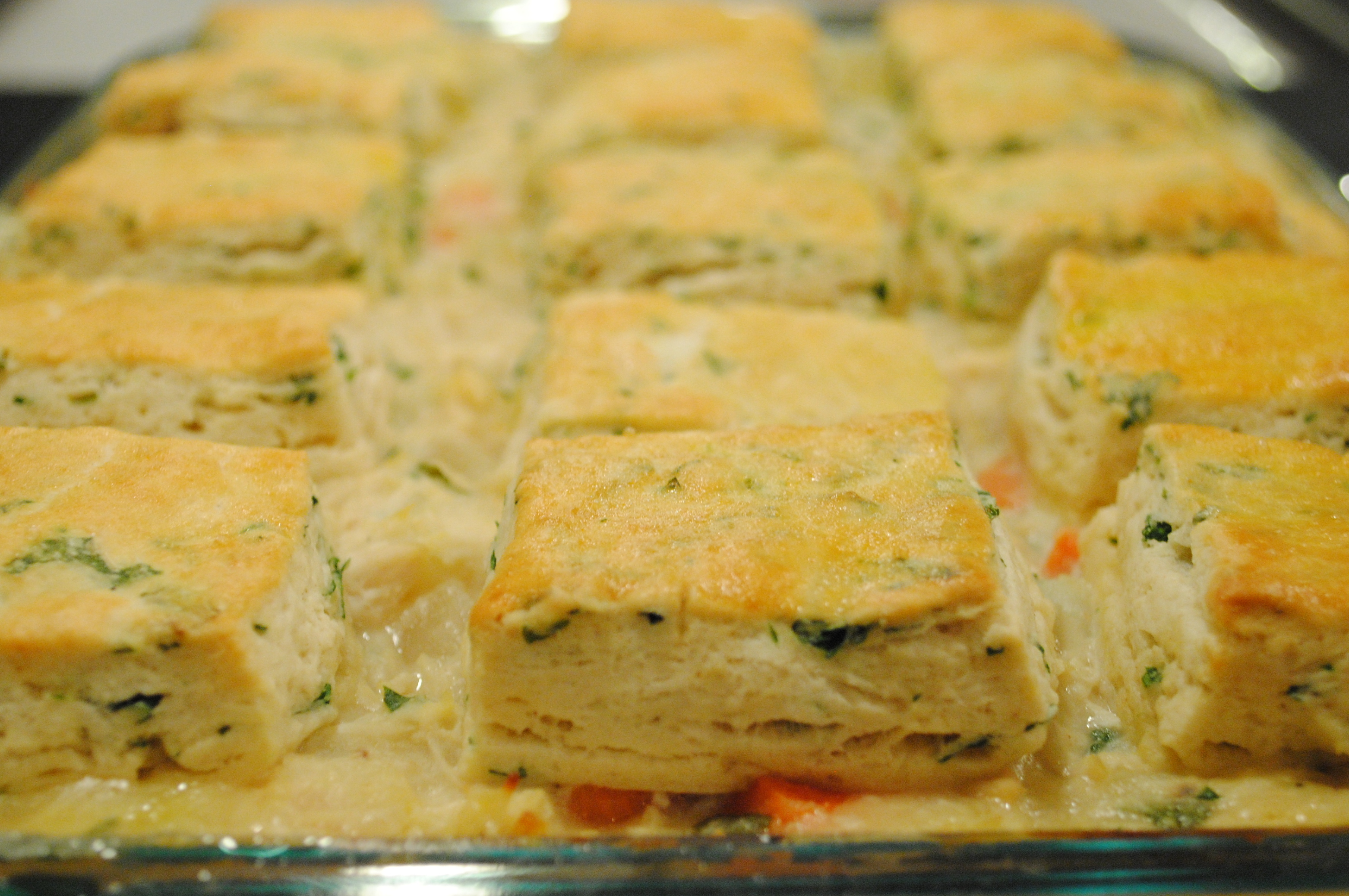 chicken stew with biscuits - The Red Bird Life